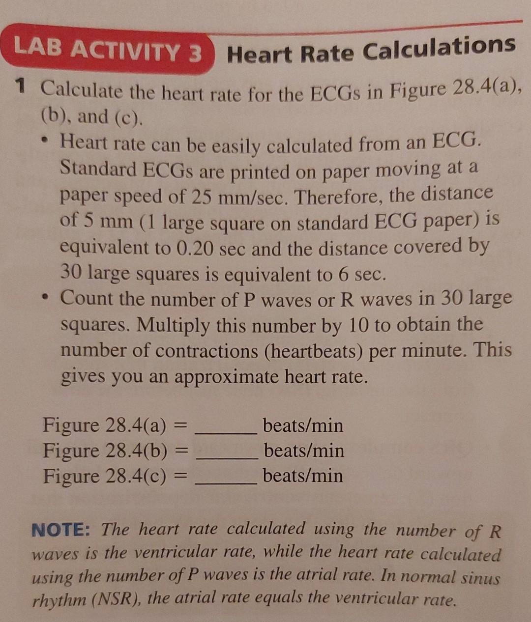 Solved AB ACTIVITY 3 Heart Rate Calculations Calculate The | Chegg.com