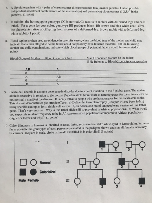 Solved 1. In the stunning picture above of com root tip | Chegg.com