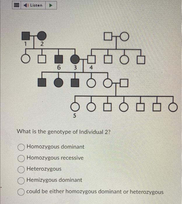 Solved What is the genotype of Individual 2? Homozygous | Chegg.com