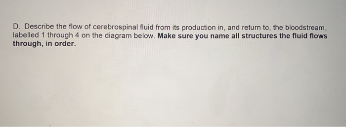 Solved D. Describe the flow of cerebrospinal fluid from its | Chegg.com