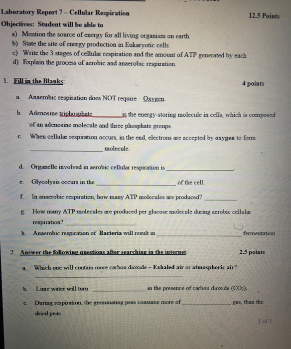 Solved Laboratory Report 7 Cellular Respiration 12.5