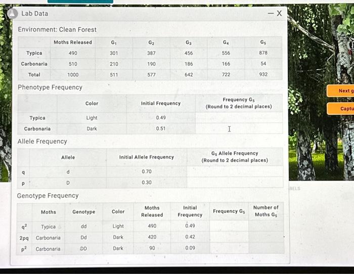 Solved Lab Data Environment Clean Forest Typica Carbonaria