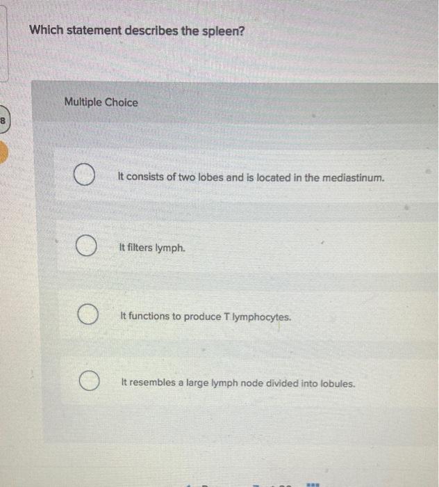 Solved Which statement describes the spleen? Multiple Choice