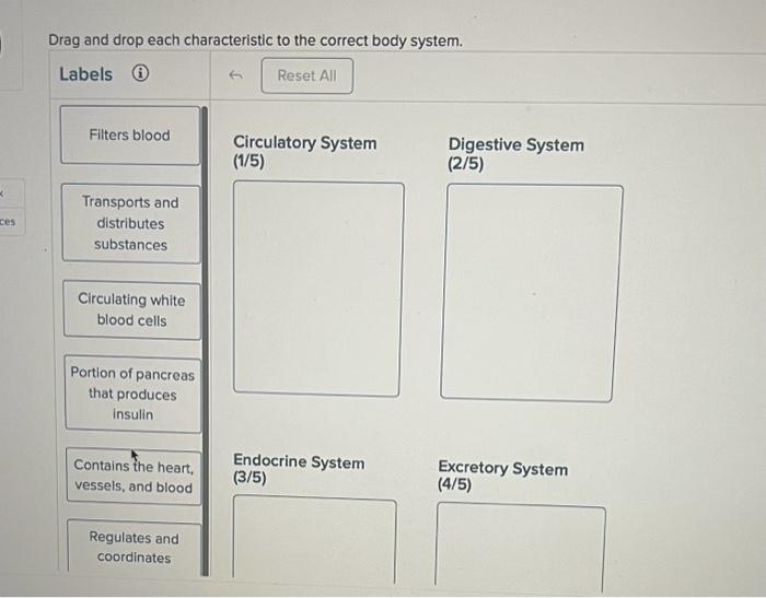 Solved Drag and drop each characteristic to the correct bodv | Chegg.com