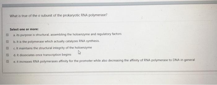 Solved What is the role of the 5' cap of eukaryotic mRNA? | Chegg.com