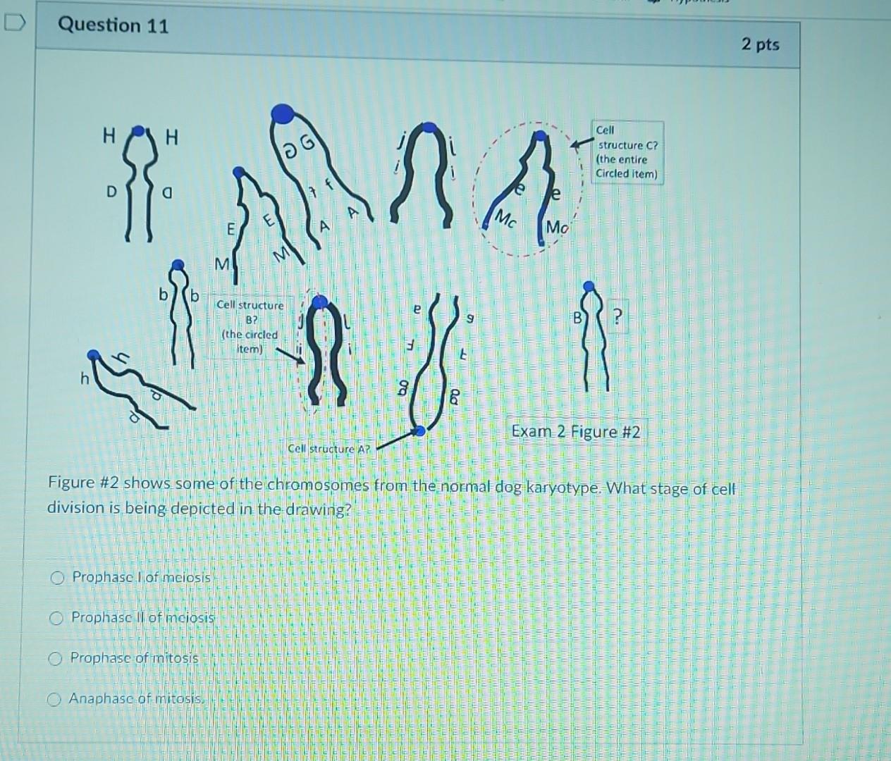 Solved Figure \#2 shows some of the chromosomes from the | Chegg.com