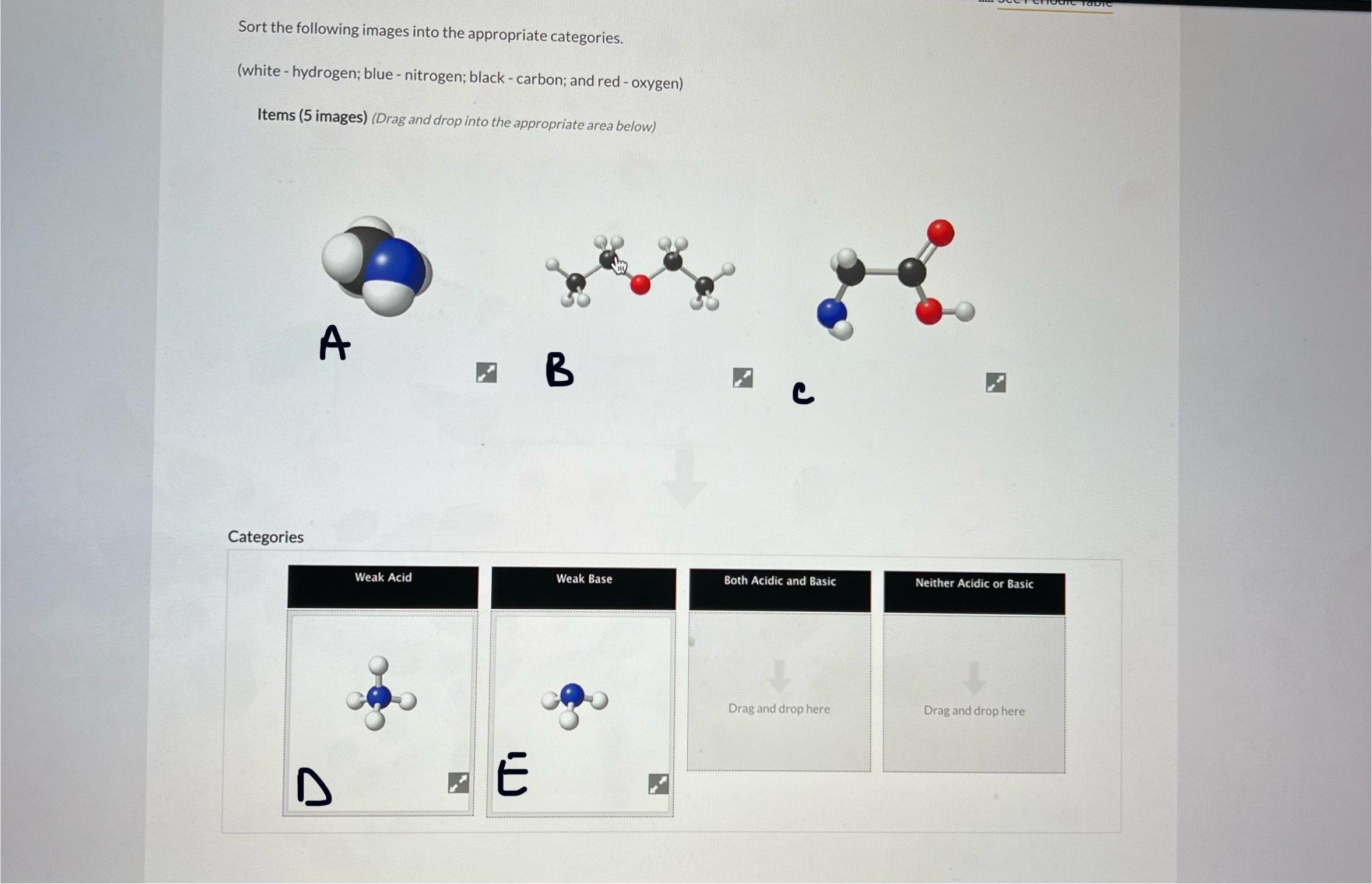 Solved Sort The Following Images Into The Appropriate Chegg Com