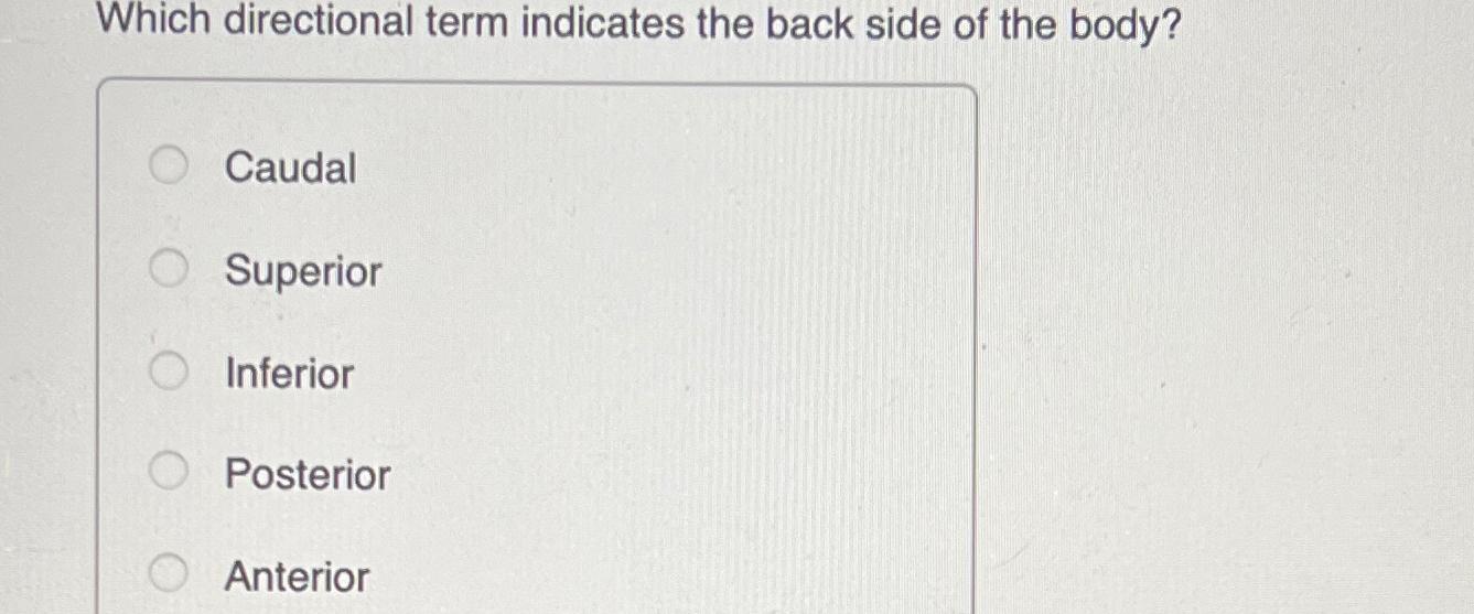 Solved Which directional term indicates the back side of the | Chegg.com