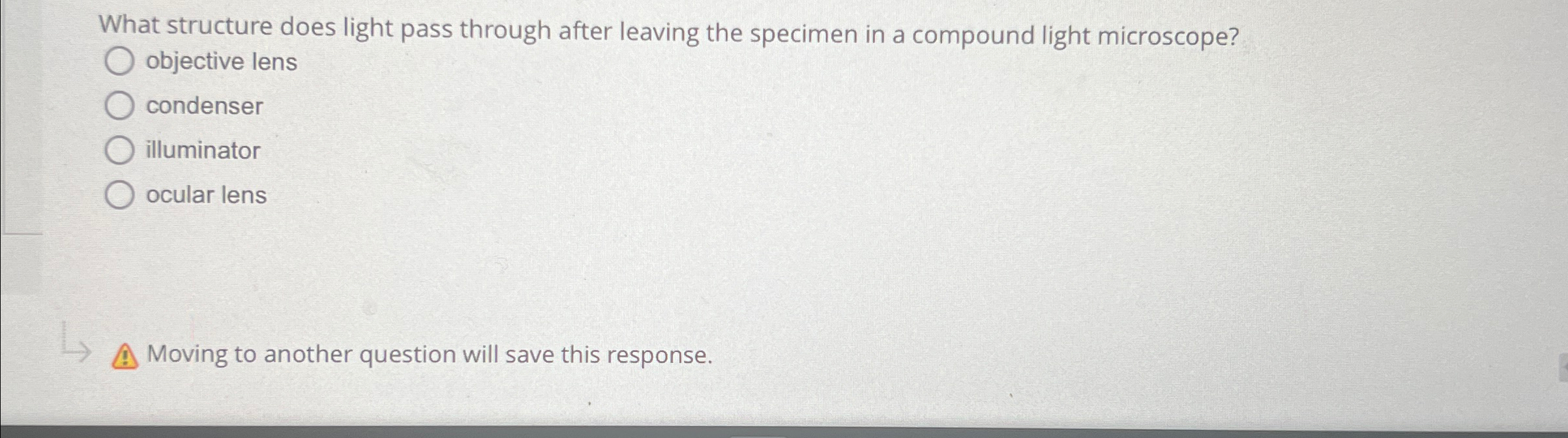Solved What structure does light pass through after leaving