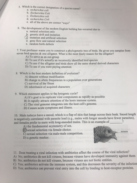 Solved 5 Which Is The Correct Designation Of A Species N Chegg Com