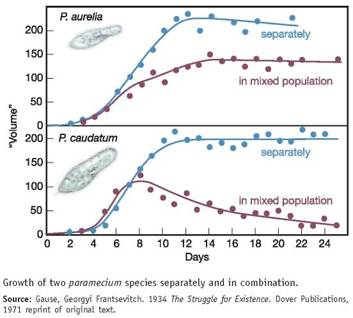 Solved In A Classic Experiment On Competition Between Species For Chegg Com