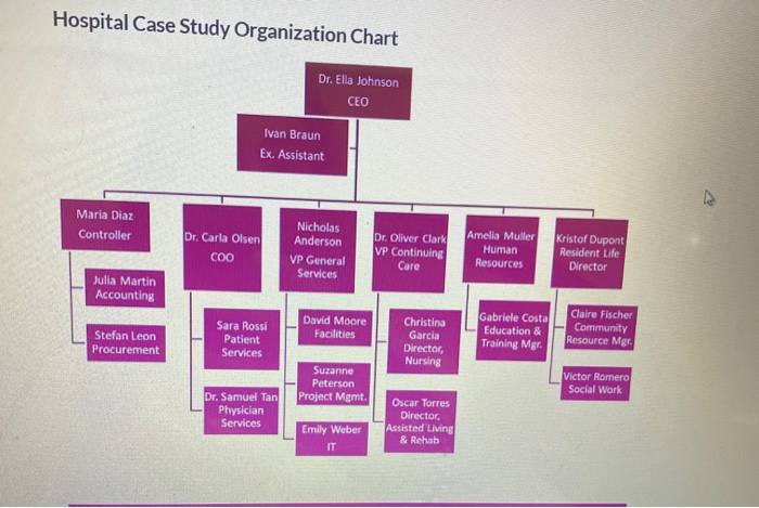 organizational chart – Nuestro Mundo, Inc.
