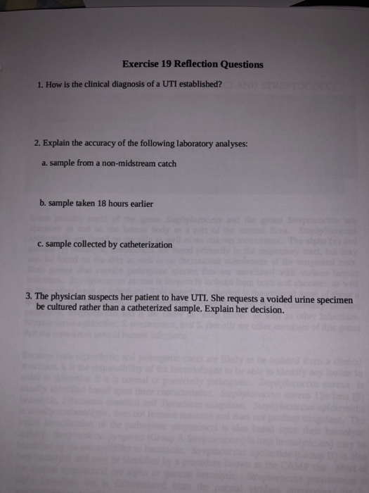 How is the clinical 2025 diagnosis of a uti established