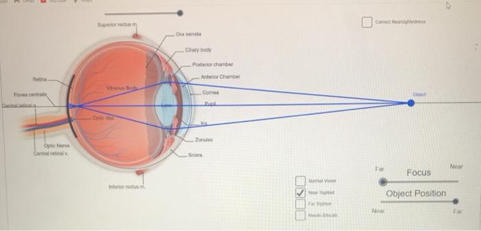Solved The following is a simulation of the optics of the | Chegg.com