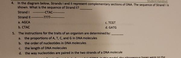 C Tcgt 4 In The Diagram Below Strands I And Il Chegg Com