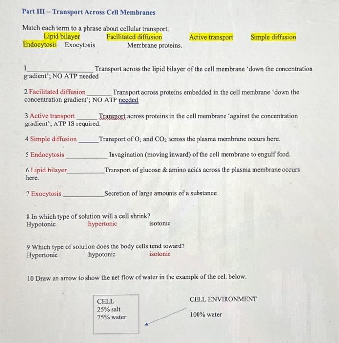 Solved 10. Which phrase best describes the structure of DNA | Chegg.com