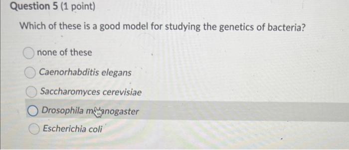 Solved Which of these if a good model for studying the | Chegg.com