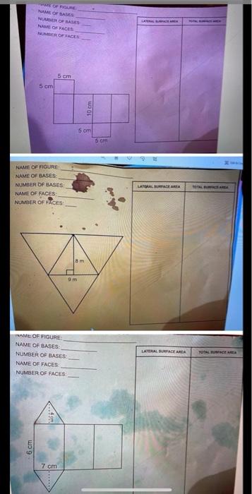 Solved OF BASES NUMBER OF BASES NE OF FACE sem 5 cm 5 om | Chegg.com