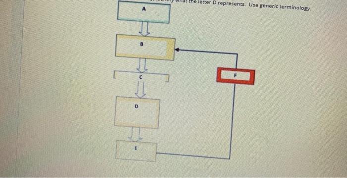 Solved assuming simple endocrine pathway, label the letters | Chegg.com
