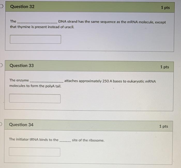Solved Question 32 1 pts The DNA strand has the same | Chegg.com