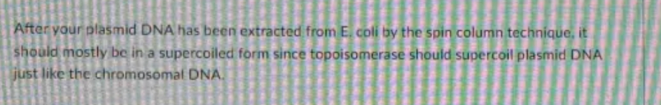 Solved After your plasmid DNA has been extracted from E. | Chegg.com