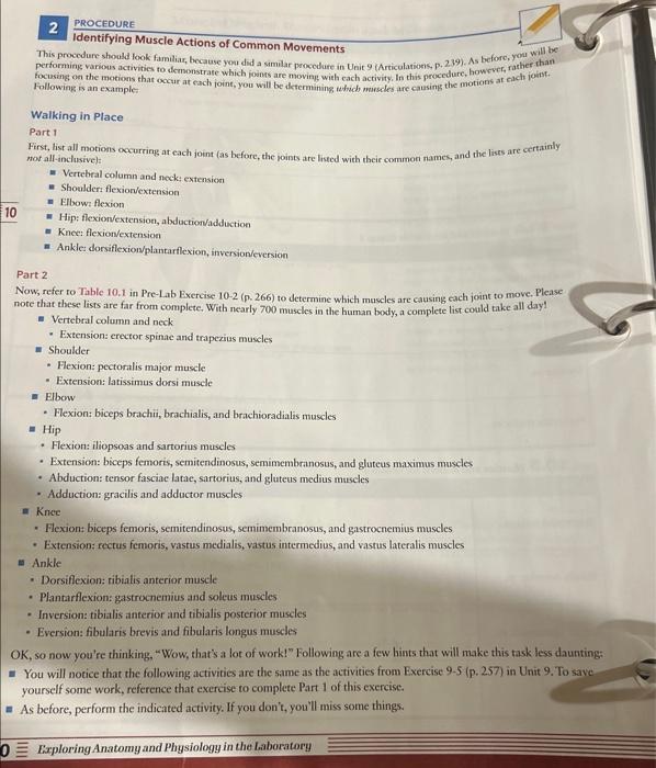 Solved 2 Identifying Muscle Actions of Common Movements This | Chegg.com