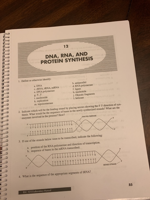 Solved 12 DNA, RNA, AND PROTEIN SYNTHESIS 1. Define or | Chegg.com