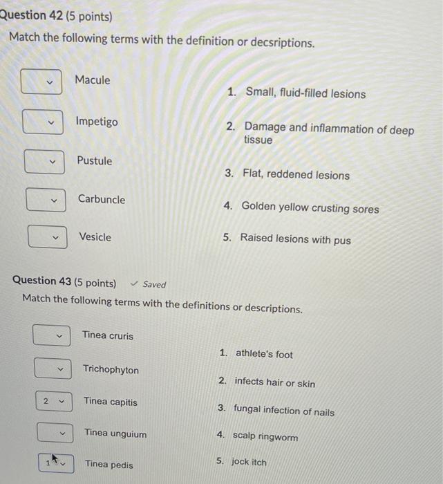 Solved Question 42 5 Points Match The Following Terms With 0979