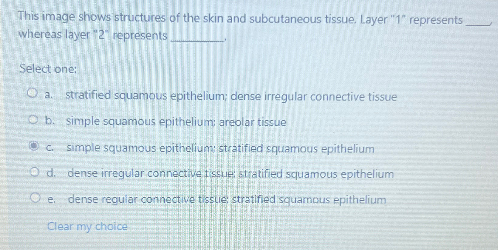 Solved This image shows structures of the skin and | Chegg.com
