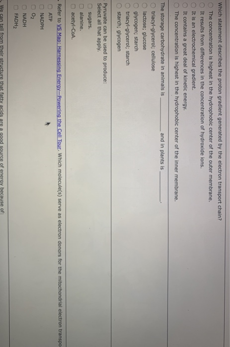 Solved Which statement describes the proton gradient | Chegg.com