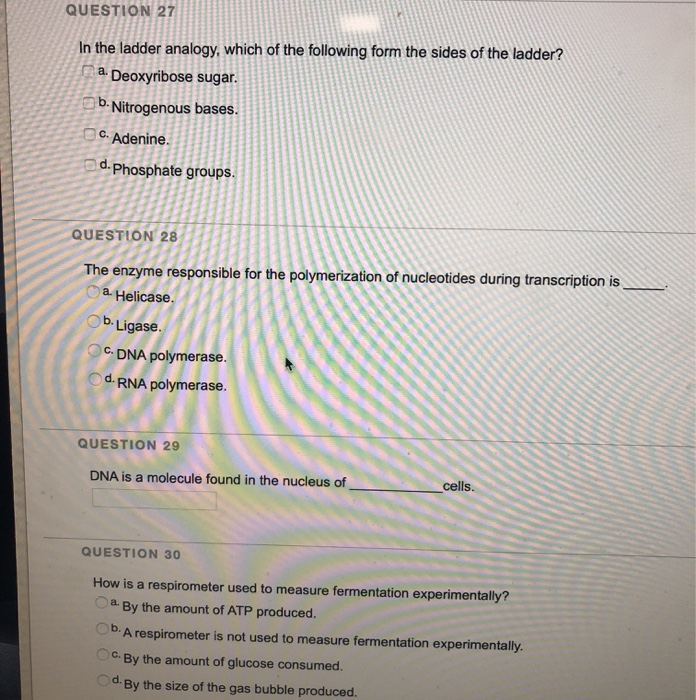 Solved QUESTION 27 In the ladder analogy, which of the