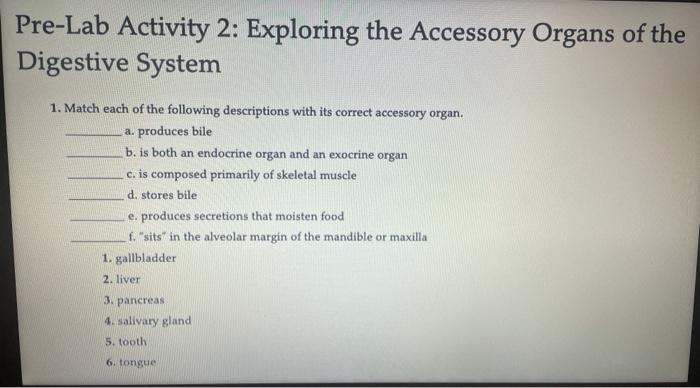 Solved 2. Match each of the following descriptions with the | Chegg.com