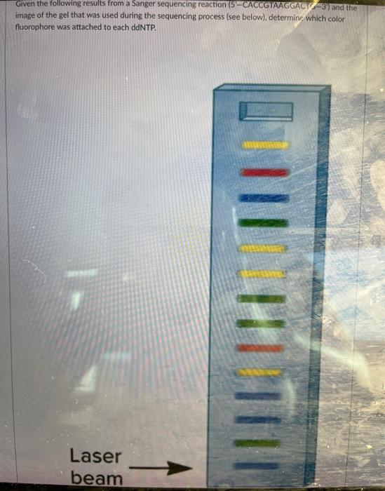 Solved Given the following results from a Sanger sequencing | Chegg.com