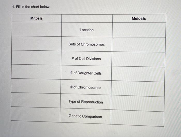 [solved] 1 Fill In The Chart Below Mitosis Location Sets