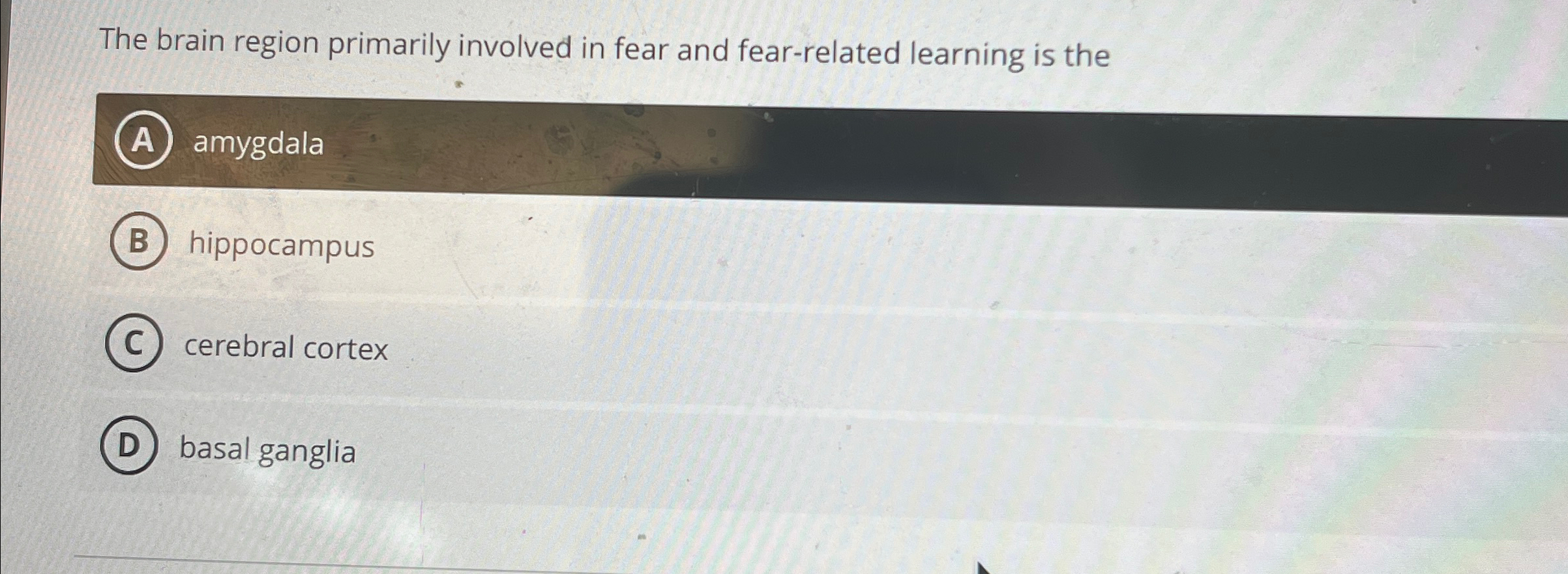 Solved The brain region primarily involved in fear and | Chegg.com