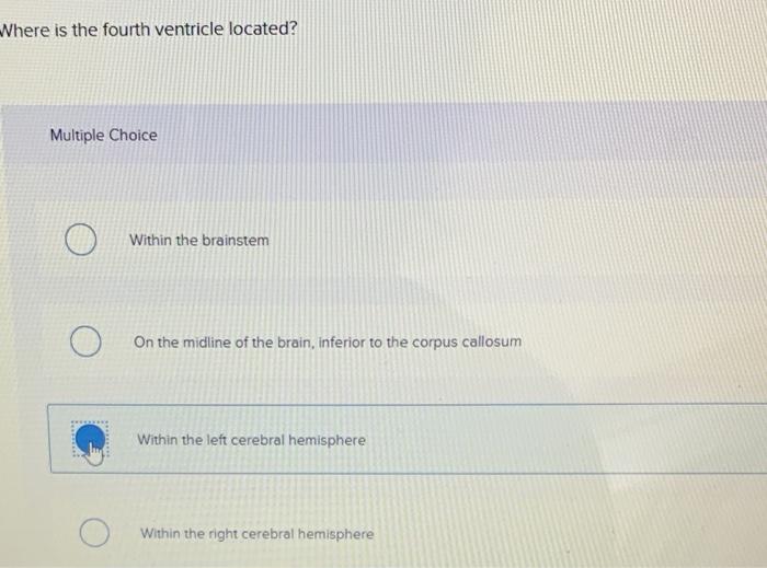 Where is the fourth ventricle located?
Multiple Choice
Within the brainstem
On the midline of the brain, inferior to the corp