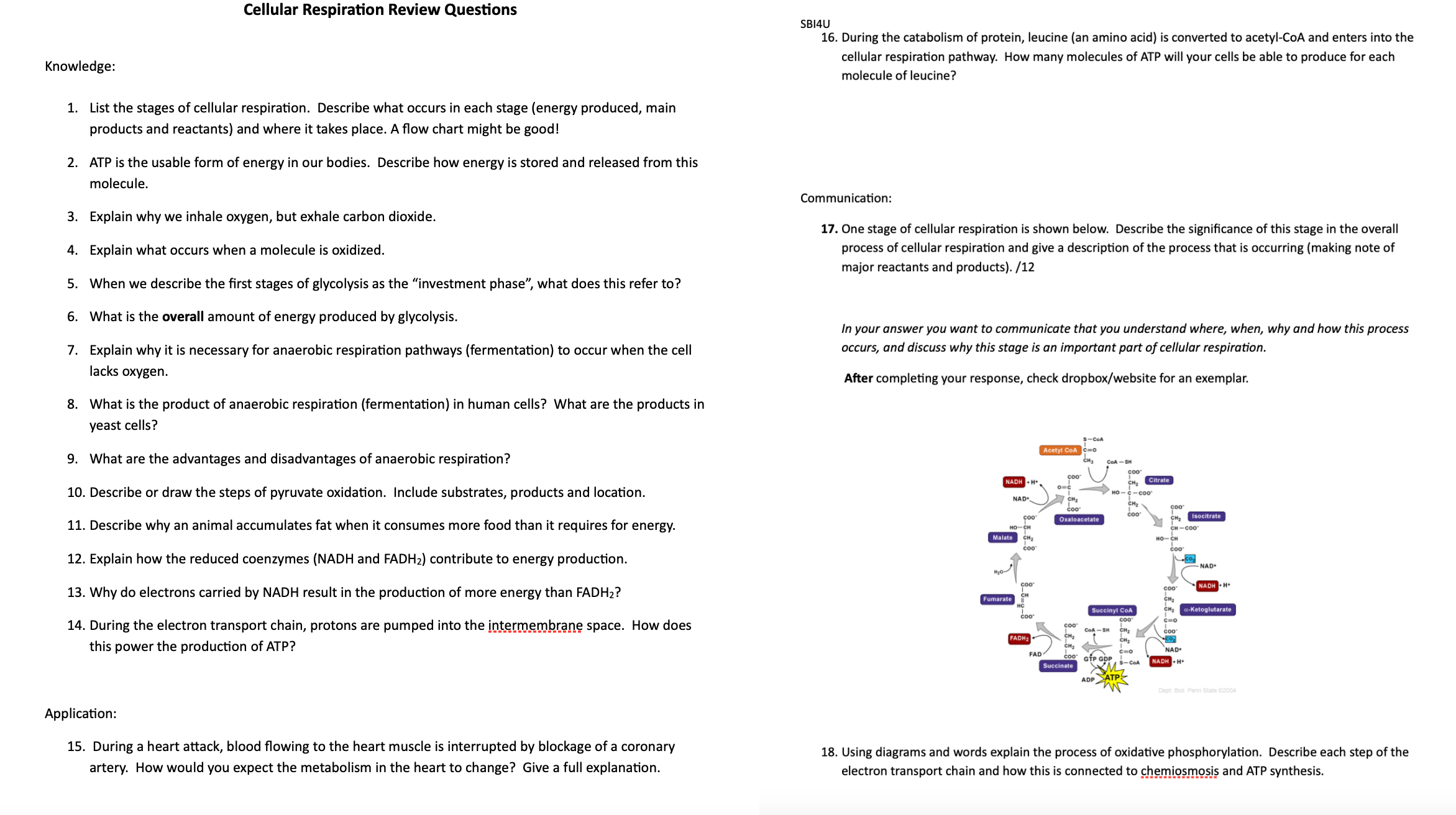 Solved Please answer all questions and make it organized. | Chegg.com