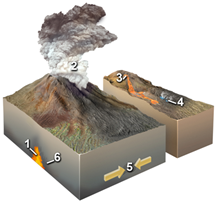 Solved: Which of the following locations would form an igneous ...