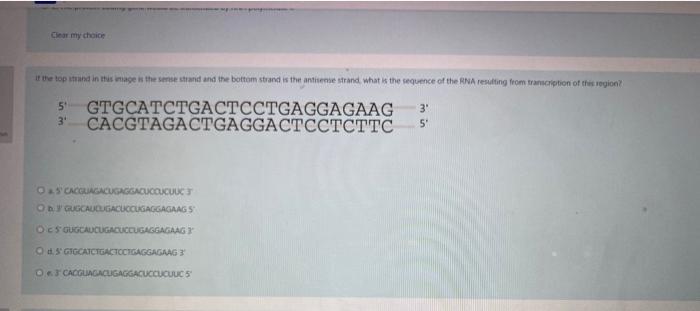 Solved The genetic code is said to be "redundant but not | Chegg.com