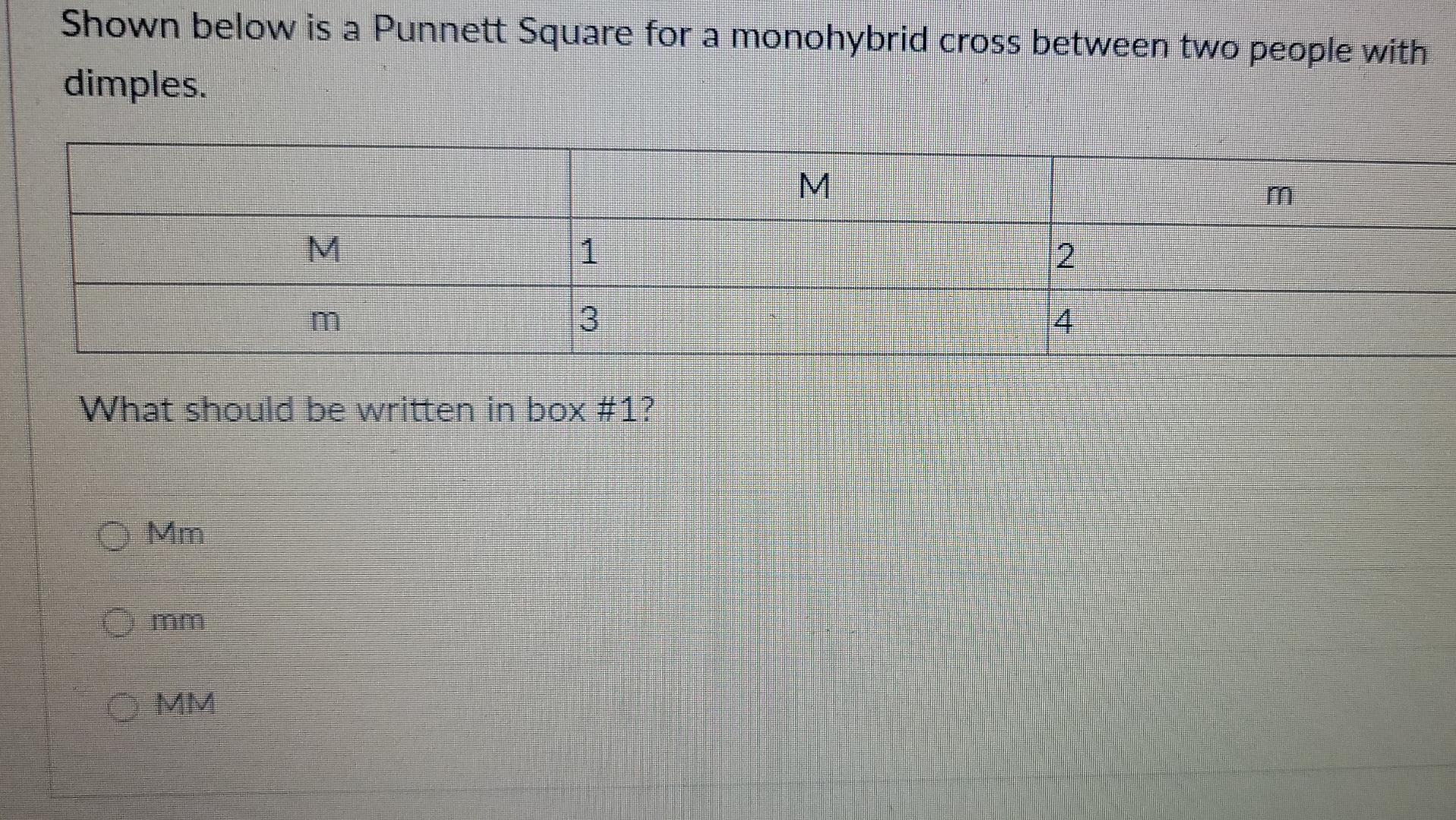 Solved Shown below is a Punnett Square for a monohybrid | Chegg.com