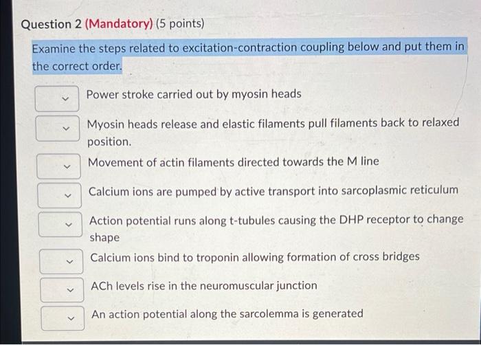 Solved Examine the steps related to excitationcontraction