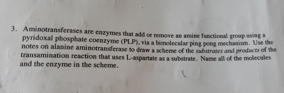 Solved 3. Aminotransferases are enzymes that add or remove | Chegg.com