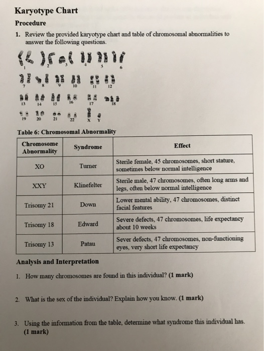 Solved Karyotype Chart Procedure 1. Review The Provided | Chegg.com