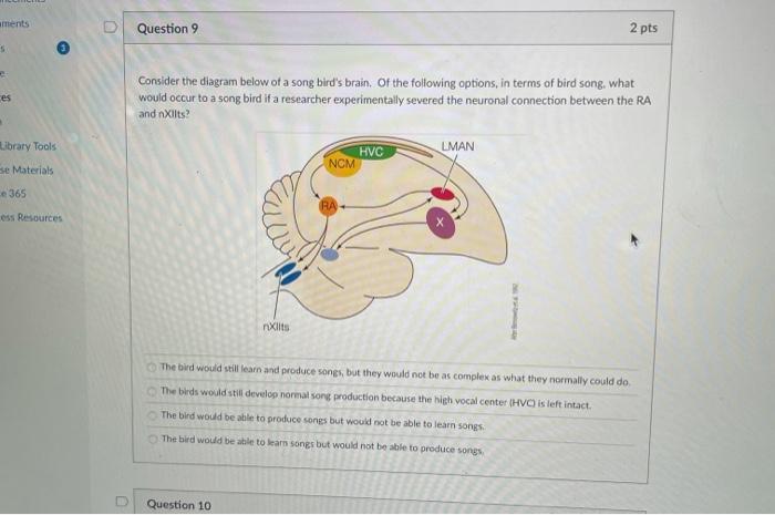 Solved Question 9 (1) Consider the diagram below of a song | Chegg.com