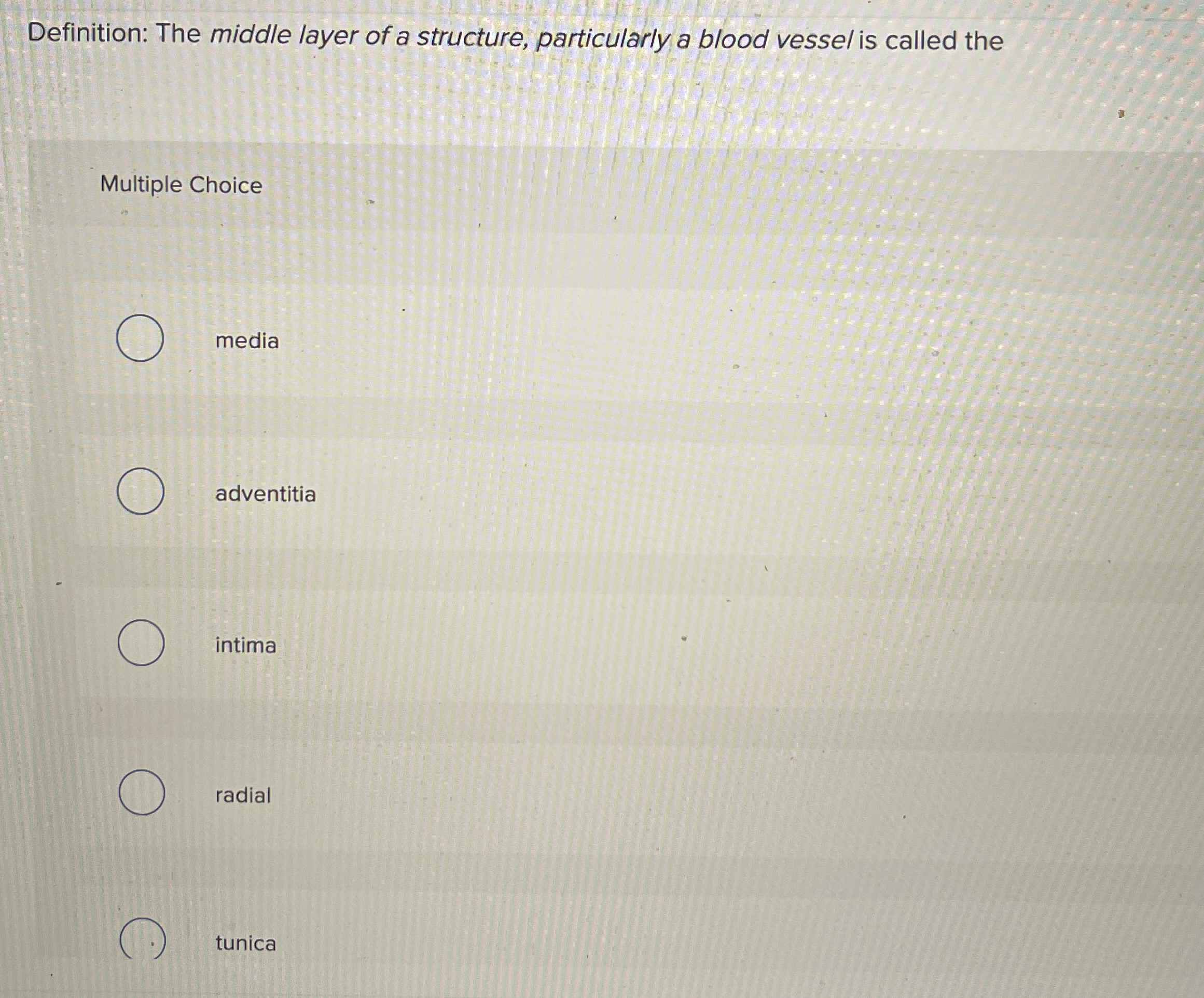 Solved Definition: The middle layer of a structure, | Chegg.com