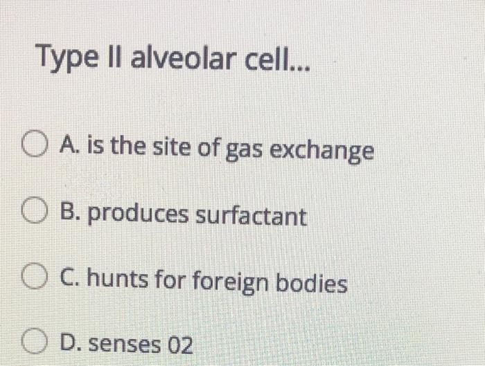 Solved Type II alveolar cell... OA. is the site of gas | Chegg.com
