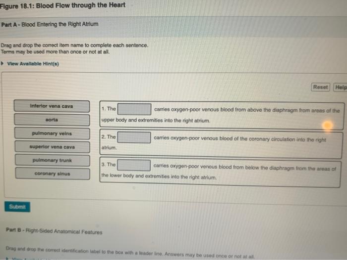 Solved Figure 18.1 Blood Flow through the Heart Part
