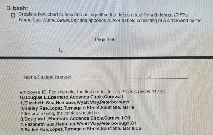 Solved 3 Bash Create A Flow Chart To Describe An Algorithm Chegg Com