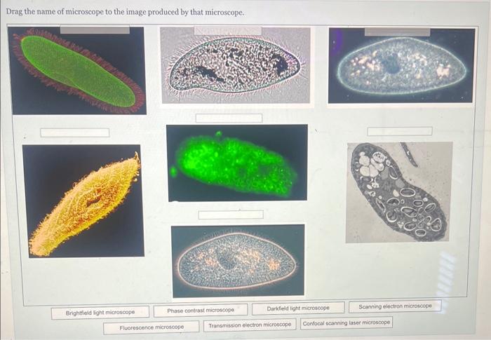 Solved E | Chegg.com