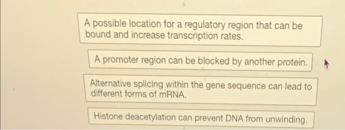 Solved The Diagram Below Shows The Structure Of DNA From The | Chegg.com